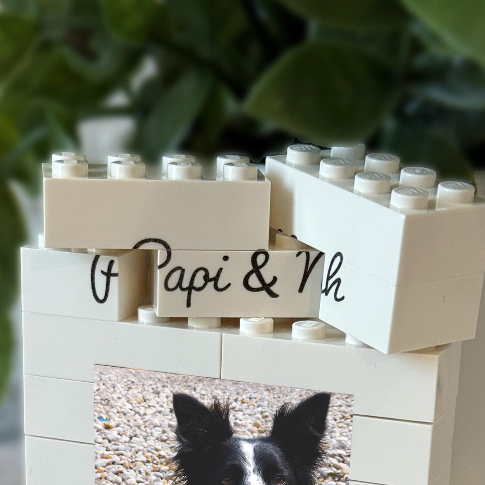 1PC Custom Pet Building Blocks - Personalized Engraved Gift recension och pris